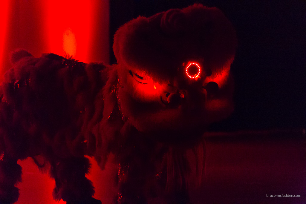 150228-Chinese New Year 2015-043