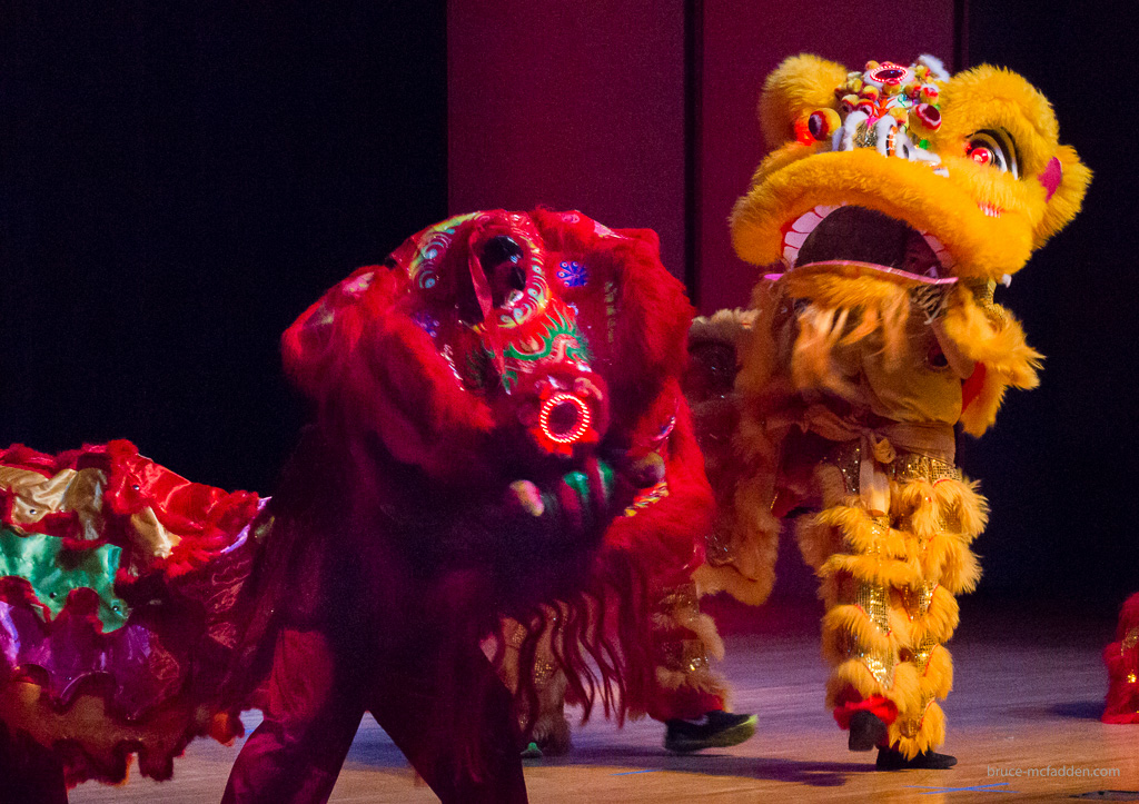 150228-Chinese New Year 2015-049