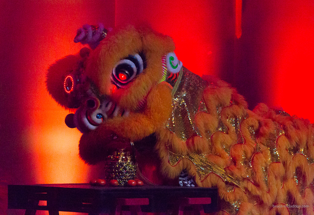 150228-Chinese New Year 2015-056
