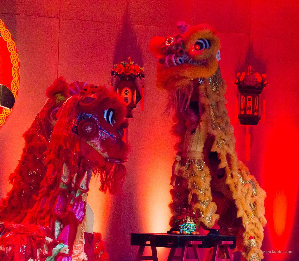 150228-Chinese New Year 2015-059