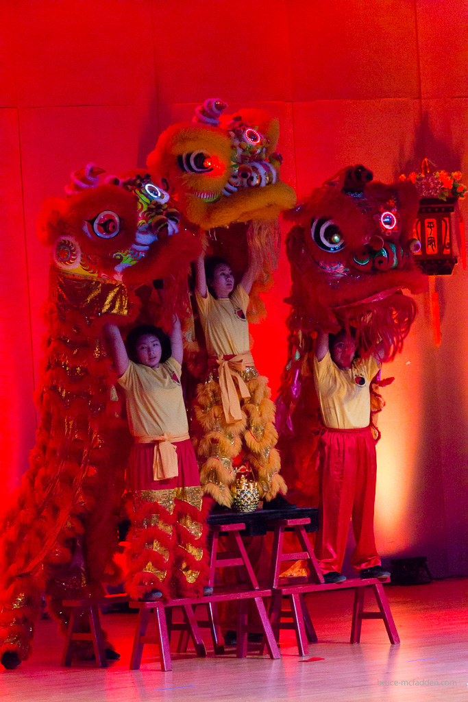 150228-Chinese New Year 2015-068