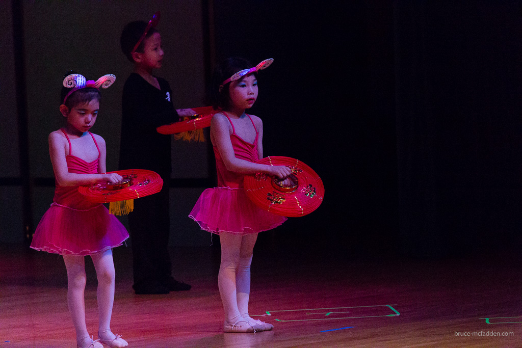 150228-Chinese New Year 2015-342