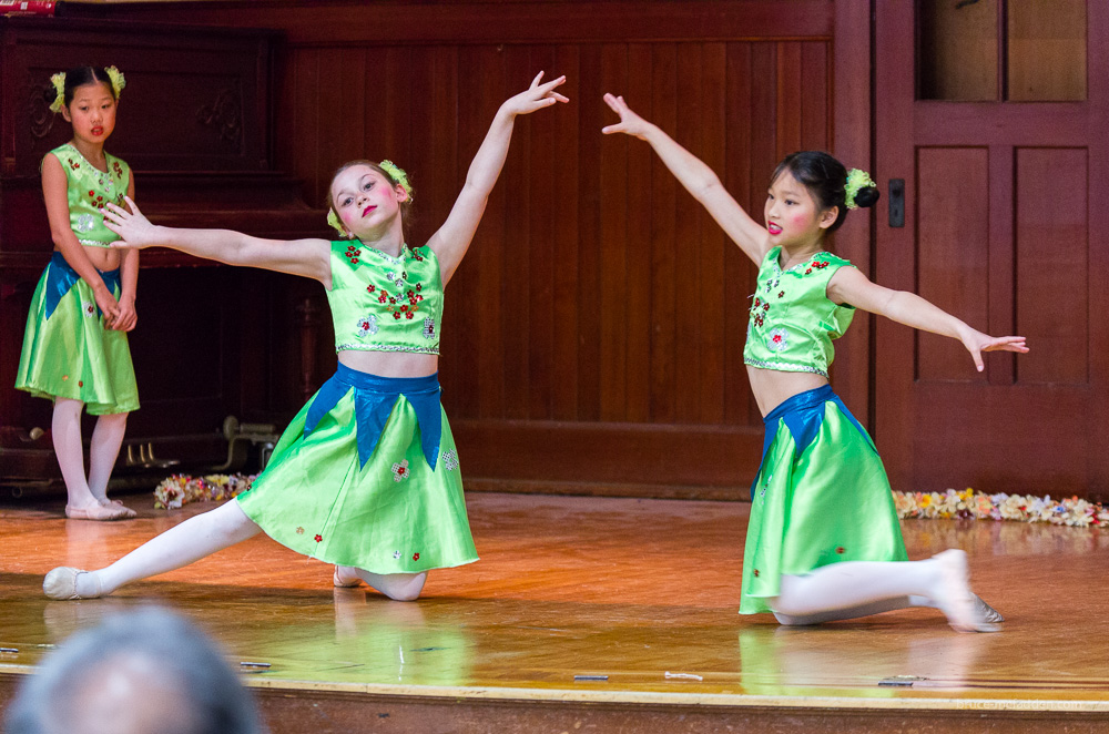 130428-Int Day of Dance 2013-074